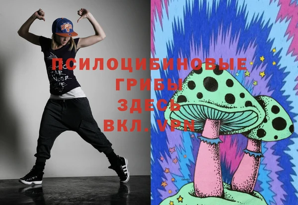 ешки Кукмор