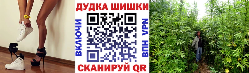 Шишки марихуана AK-47  Купить где  Морозовск 